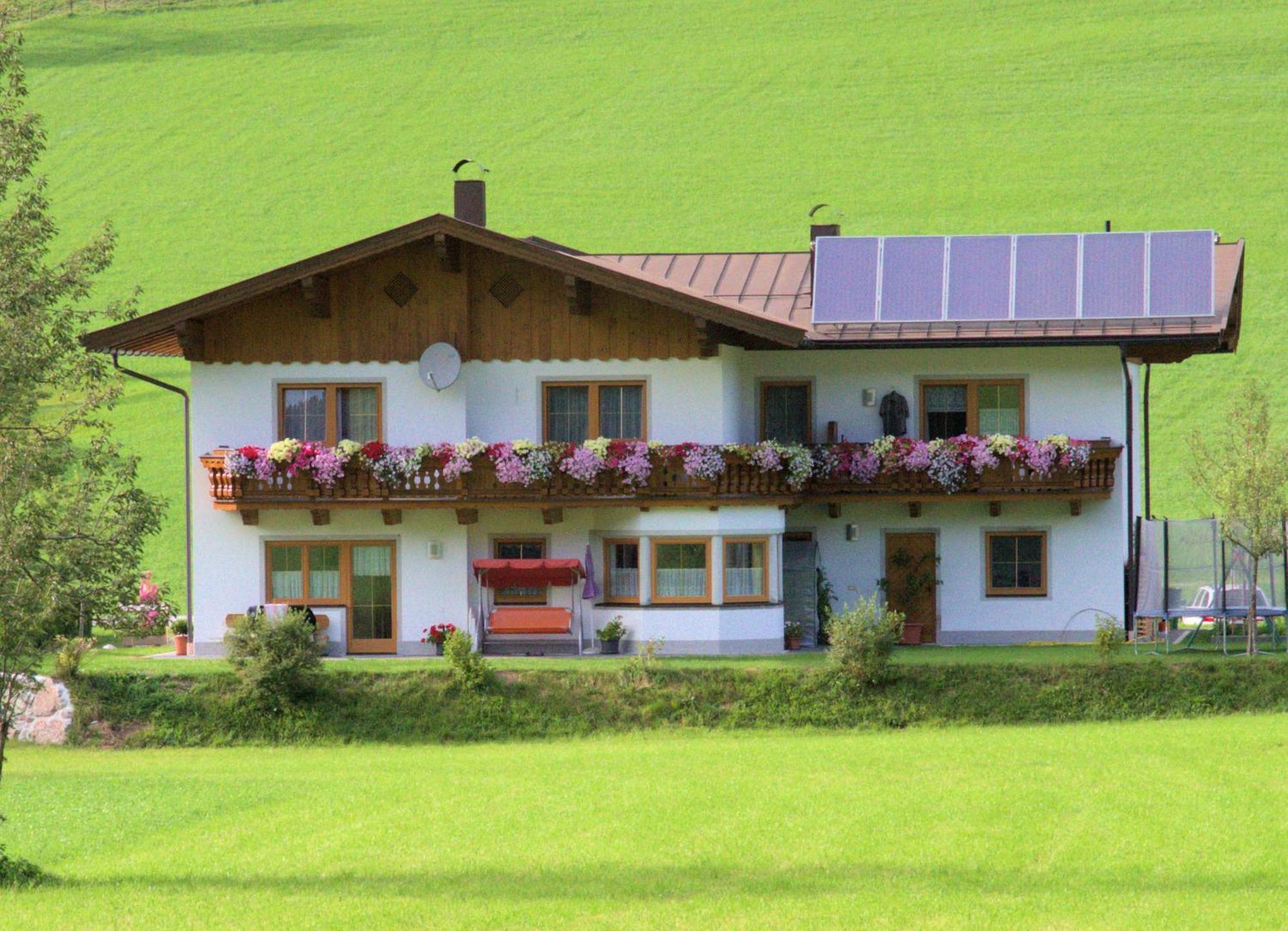 Ferienwohnung Biechl-Hauser Doris Занкт-Ульріх-ам-Піллерзе Екстер'єр фото